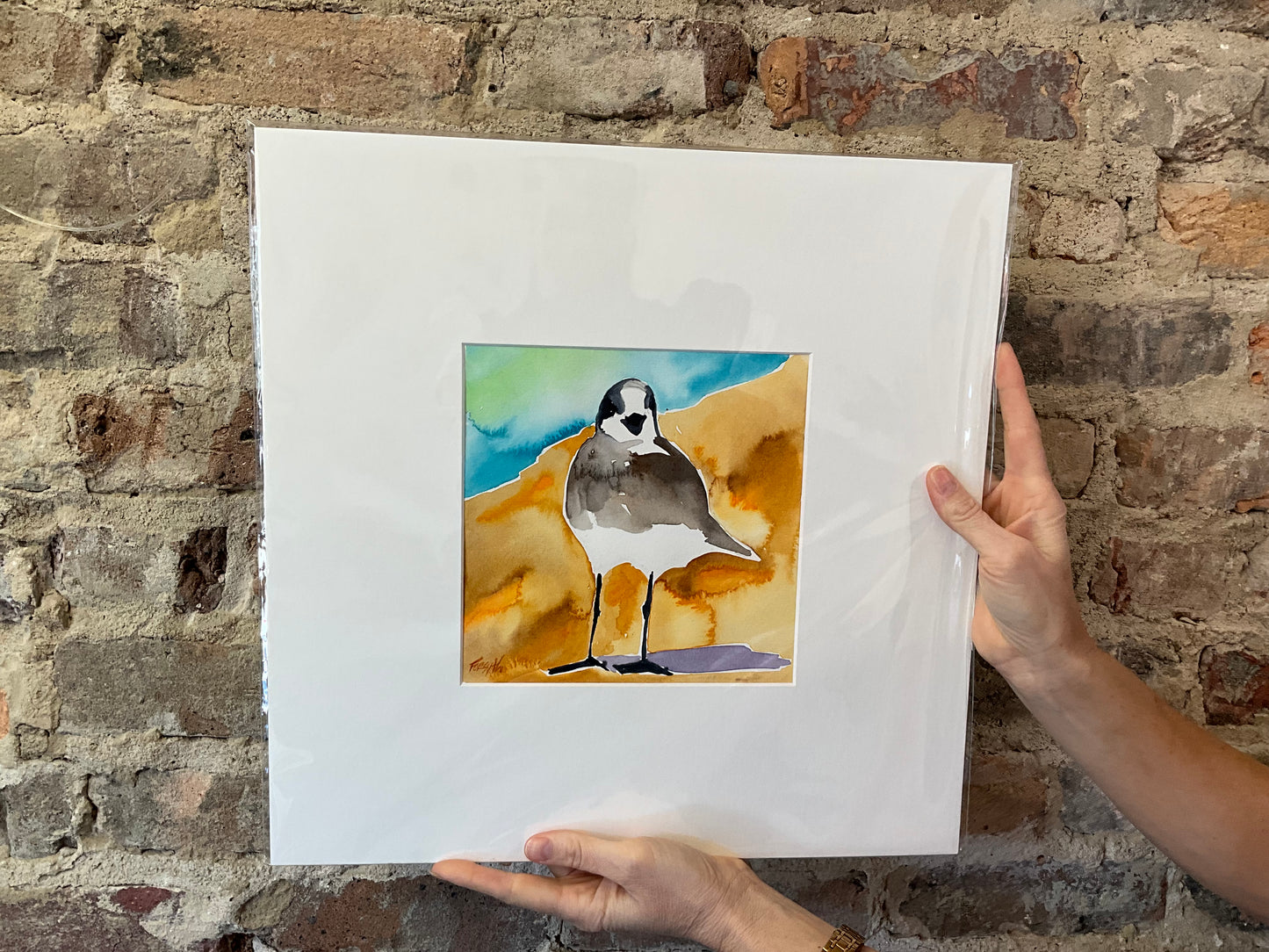 “Fred” matted to 16x16”