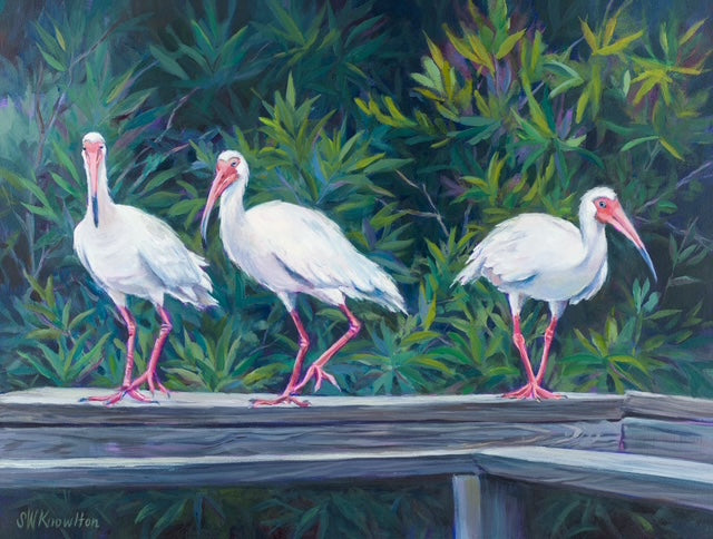 Boardwalk Brigade