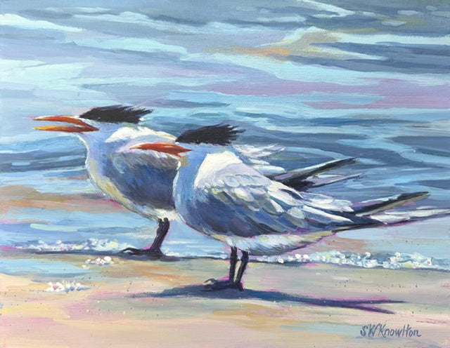 Royal Tern Duo