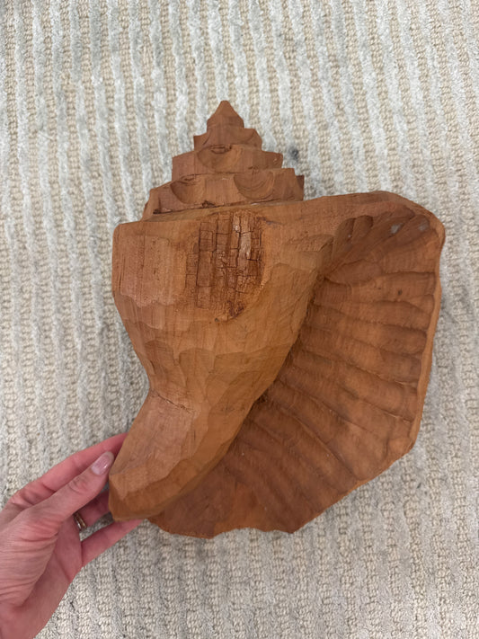 size 4 Cedar Conch