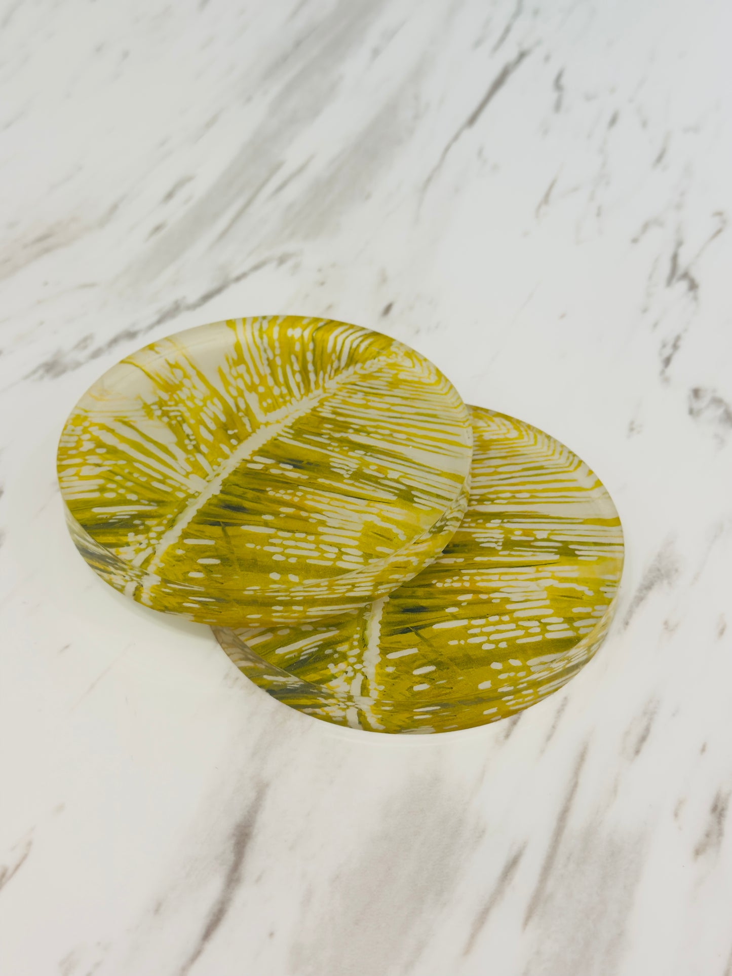 Acrylic Coasters, set of 2