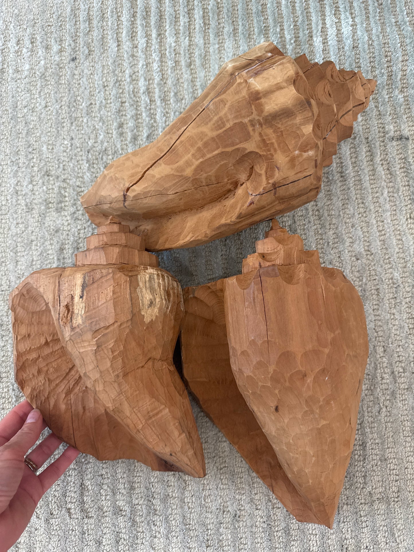 Size 3 Cedar Conch