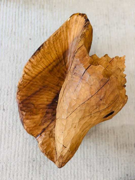 Walnut Super Size Shell