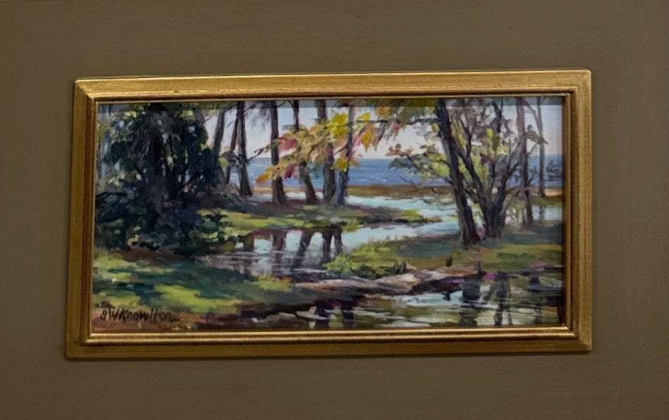 Coastal Reflections