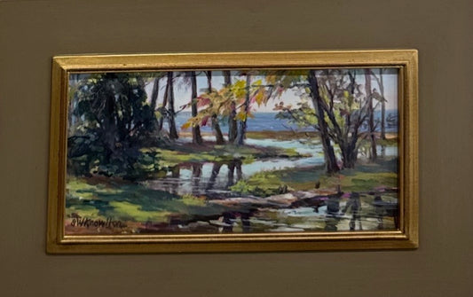 Coastal Reflections