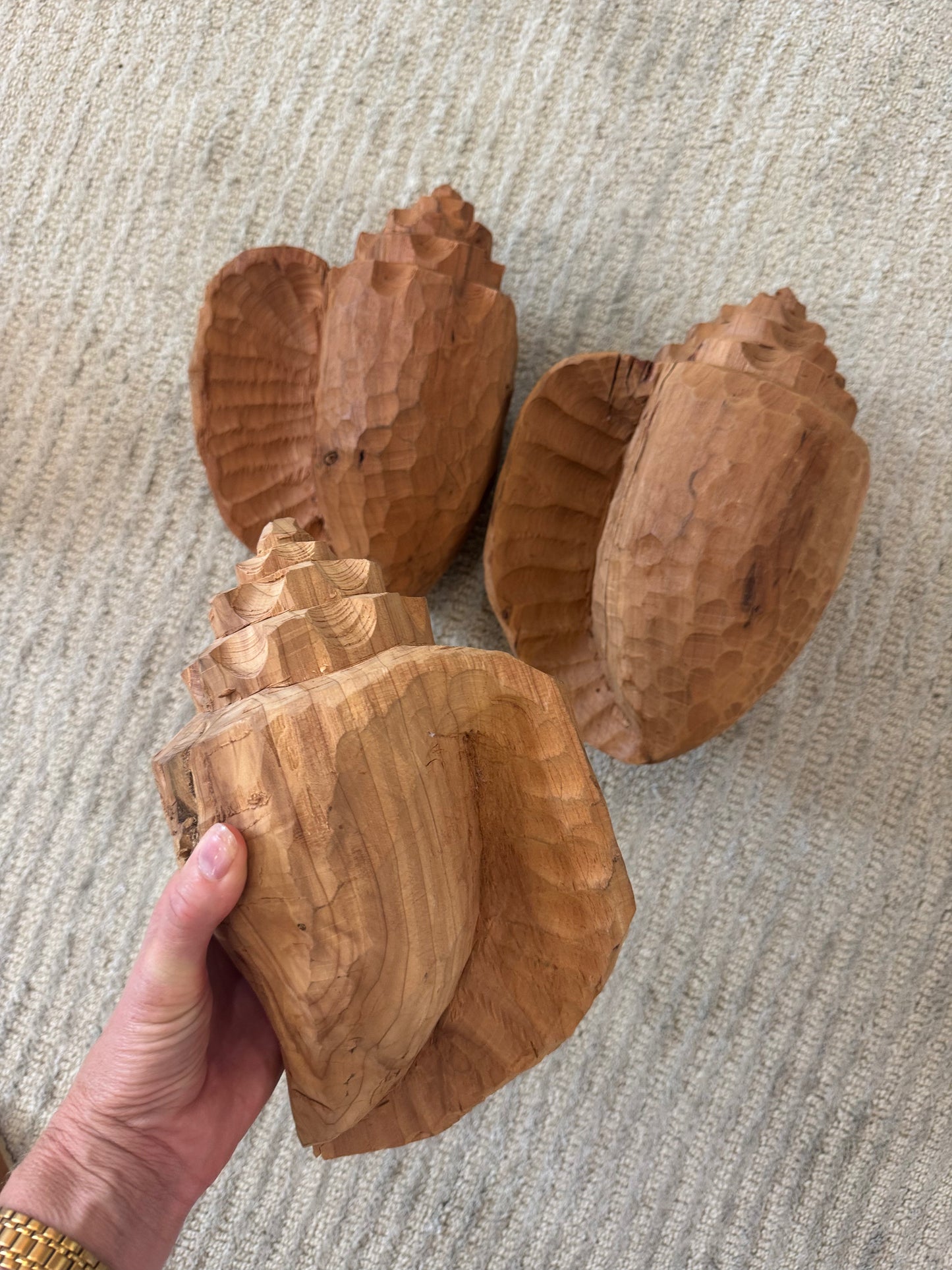 size 2 Cedar Conch