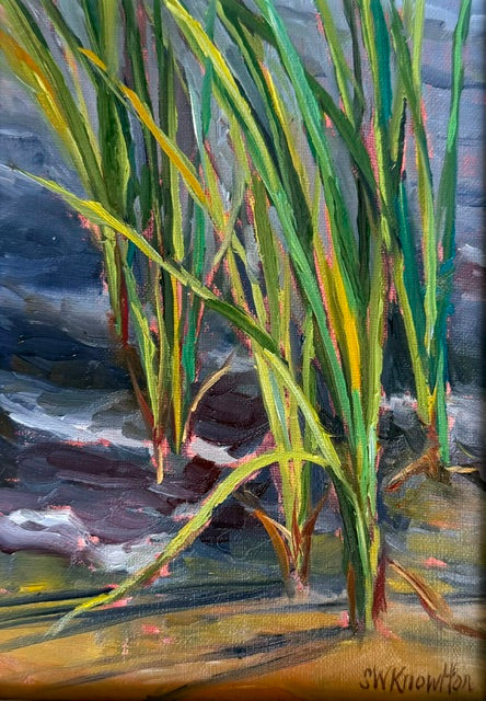 Water Reeds II