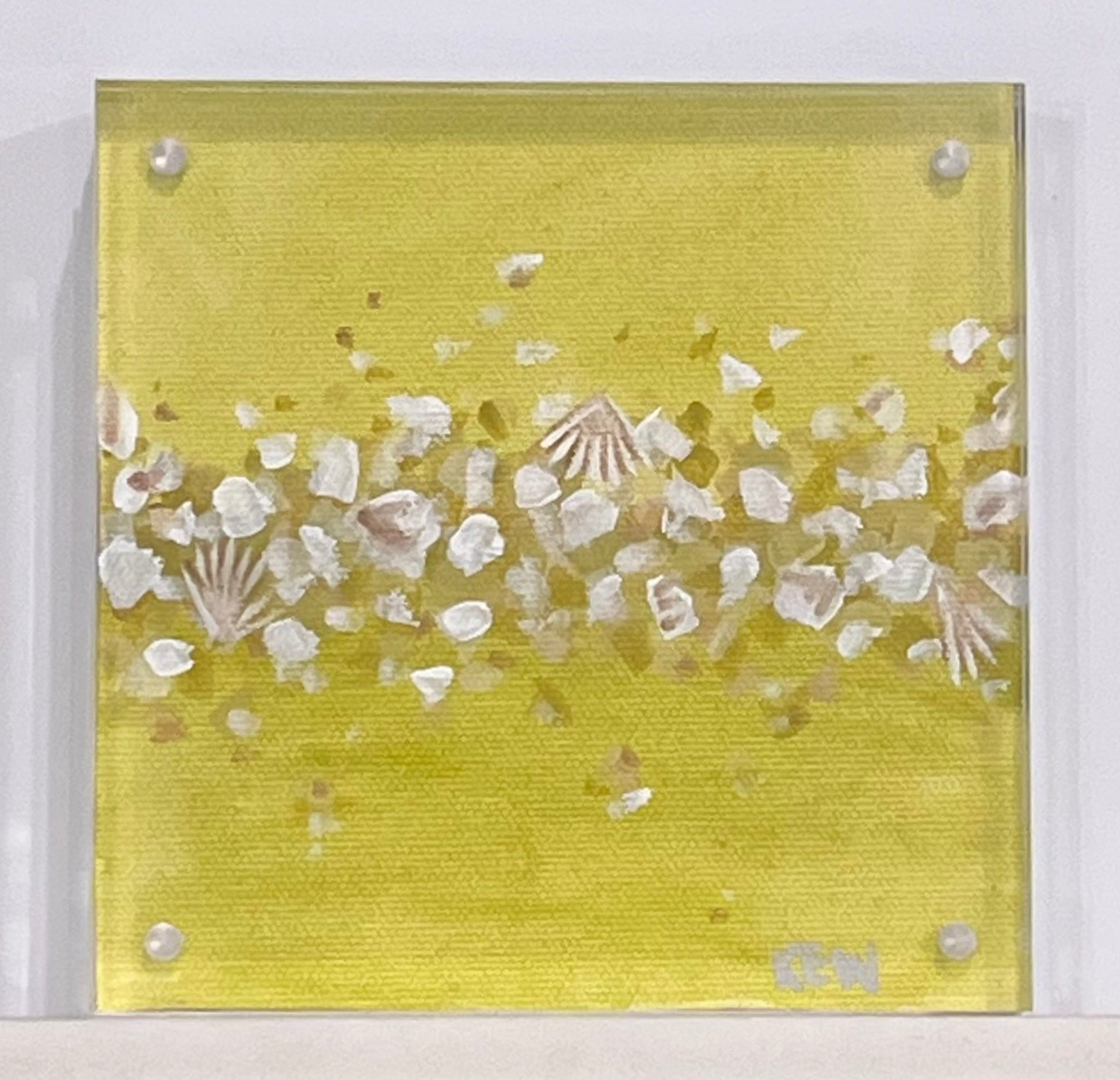 kelly whibbs waterline