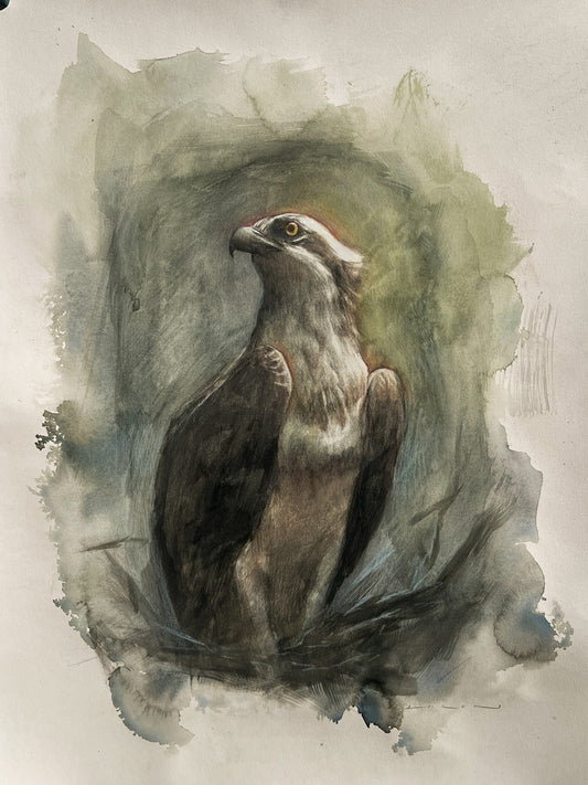 "Saltwater Sentinel",  framed to 25x31"