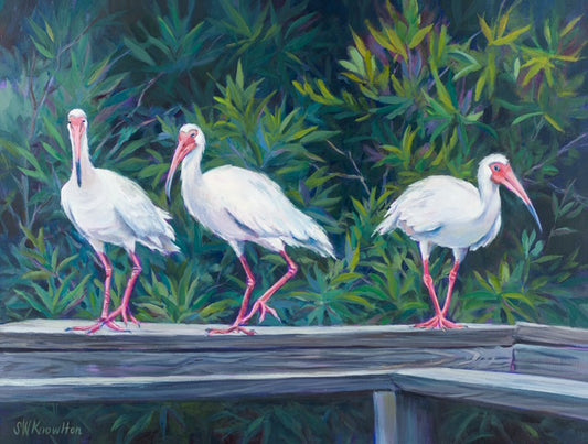Boardwalk Brigade