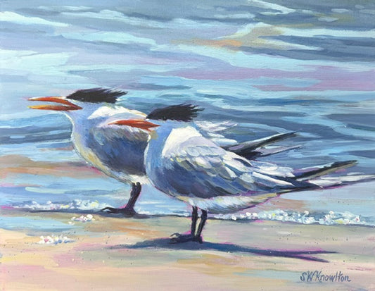 Royal Tern Duo