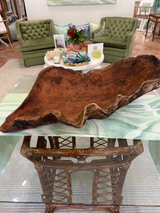 Extra Large Cuban Mahogany Conch Sculpture/Bowl